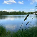 아파트 Frankenwald Fourstars Am In Lichtenberg, Bayern, Oberfranken, Bad Steben - Hof -saale, Rennsteig Lichtenberg (Bavaria)