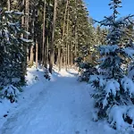 아파트 Frankenwald Fourstars Am In Lichtenberg, Bayern, Oberfranken, Bad Steben - Hof -saale, Rennsteig