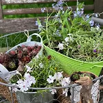 Frankenwald Fourstars Am In Lichtenberg, Bayern, Oberfranken, Bad Steben - Hof -saale, Rennsteig 아파트 *