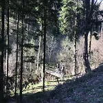 Frankenwald Fourstars Am In Lichtenberg, Bayern, Oberfranken, Bad Steben - Hof -saale, Rennsteig * Lichtenberg (Bavaria)