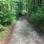 Frankenwald Fourstars Am In Lichtenberg, Bayern, Oberfranken, Bad Steben - Hof -saale, Rennsteig