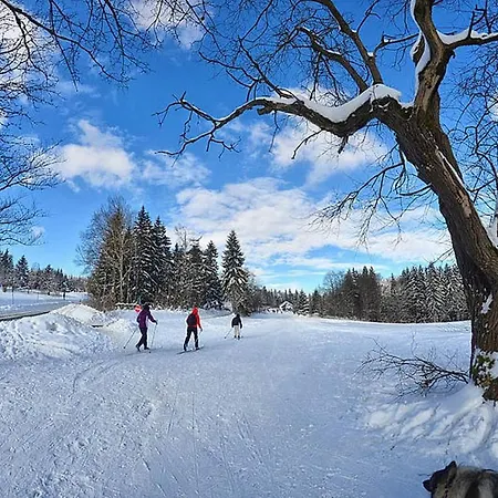 Frankenwald Fourstars Am In Lichtenberg, Bayern, Oberfranken, Bad Steben - Hof -saale, Rennsteig Apartmán *