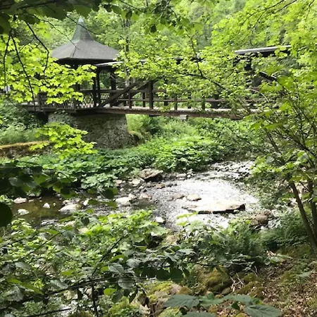 아파트 Auszeit Ferienhaus Lichtenberg Mit Sauna Am Frankenwaldsee, Kamin, Klima, Garten Lichtenberg (Bavaria)