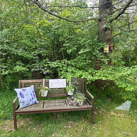 아파트 Auszeit Ferienhaus Lichtenberg Mit Sauna Am Frankenwaldsee, Kamin, Klima, Garten Lichtenberg (Bavaria)