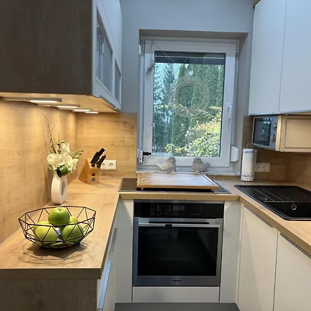 아파트 Auszeit Ferienhaus Lichtenberg Mit Sauna Am Frankenwaldsee, Kamin, Klima, Garten