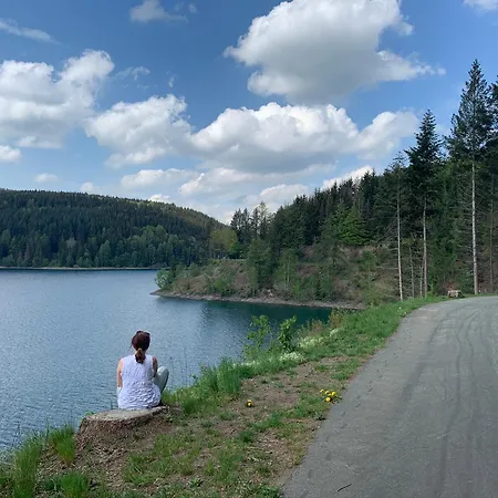 Frankenwald Fourstars Am In Lichtenberg, Bayern, Oberfranken, Bad Steben - Hof -saale, Rennsteig