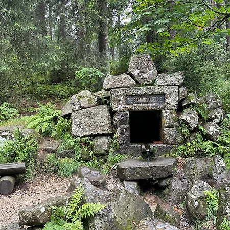 Frankenwald Fourstars Am In Lichtenberg, Bayern, Oberfranken, Bad Steben - Hof -saale, Rennsteig