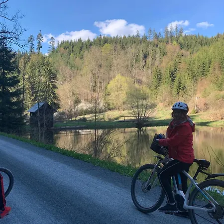 Frankenwald Fourstars Am In Lichtenberg, Bayern, Oberfranken, Bad Steben - Hof -saale, Rennsteig *
