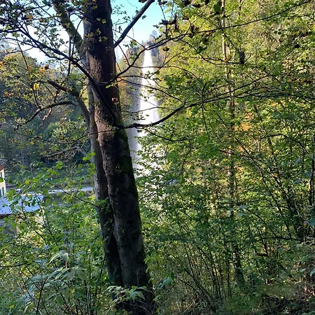Frankenwald Fourstars Am In Lichtenberg, Bayern, Oberfranken, Bad Steben - Hof -saale, Rennsteig * Lichtenberg (Bavaria)
