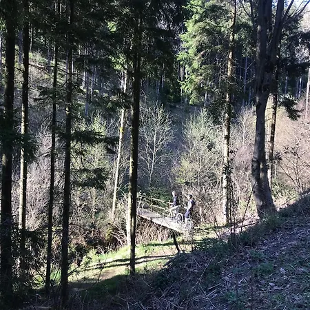 Auszeit Ferienhaus Lichtenberg Mit Sauna Am Frankenwaldsee, Kamin, Klima, Garten * Lichtenberg (Bavaria)