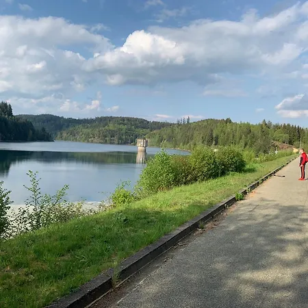 아파트 Auszeit Ferienhaus Lichtenberg Mit Sauna Am Frankenwaldsee, Kamin, Klima, Garten Lichtenberg (Bavaria)